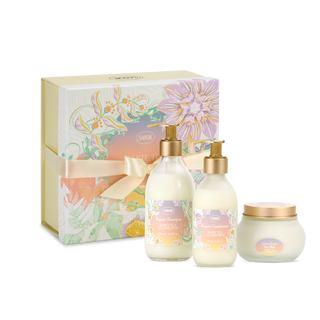 Haarpflege-Routine-Geschenkset - Delicate Jasmine
